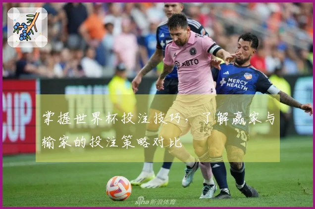 掌握世界杯投注技巧，了解赢家与输家的投注策略对比