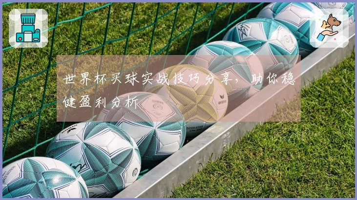 世界杯买球实战技巧分享，助你稳健盈利分析