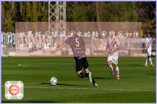 世界杯买球投注中的赔率到底如何计算和解读
