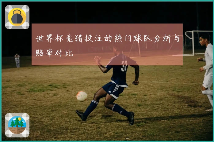 世界杯竞猜投注的热门球队分析与赔率对比