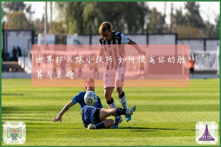 世界杯买球小技巧 如何提高你的胜算与乐趣
