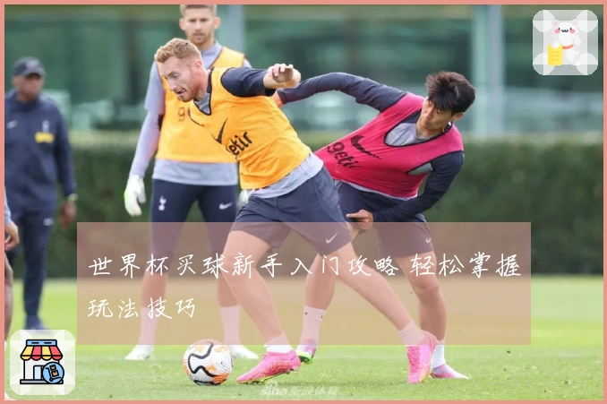 世界杯买球新手入门攻略 轻松掌握玩法技巧