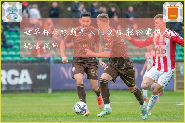 世界杯买球新手入门攻略 轻松掌握玩法技巧
