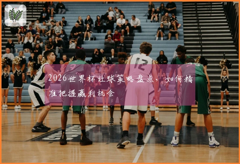 2026世界杯让球策略盘点，如何精准把握赢利机会