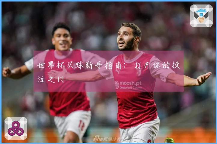 世界杯买球新手指南：打开你的投注之门