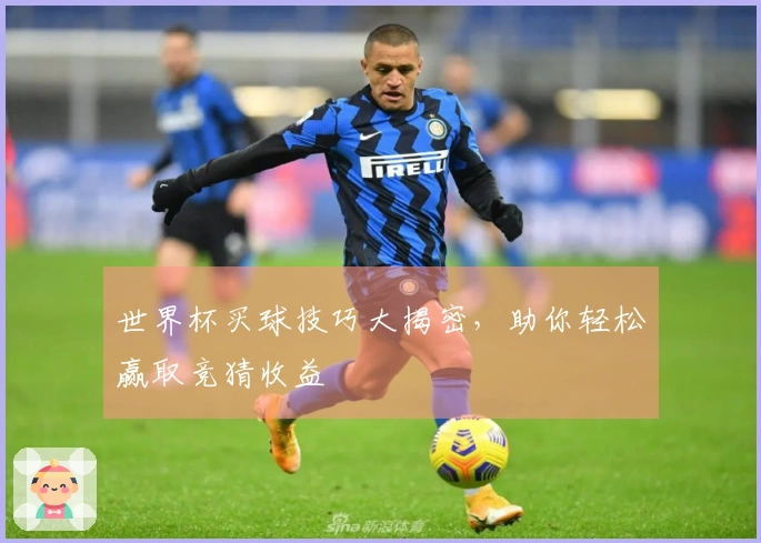 世界杯买球技巧大揭密，助你轻松赢取竞猜收益