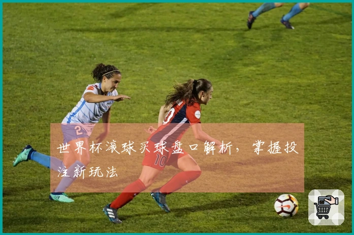 世界杯滚球买球盘口解析，掌握投注新玩法
