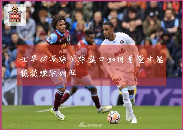 世界杯滚球买球盘口如何看懂才能稳稳赚取利润