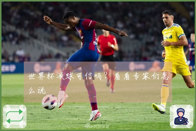 世界杯滚球可信吗?看看专家们怎么说
