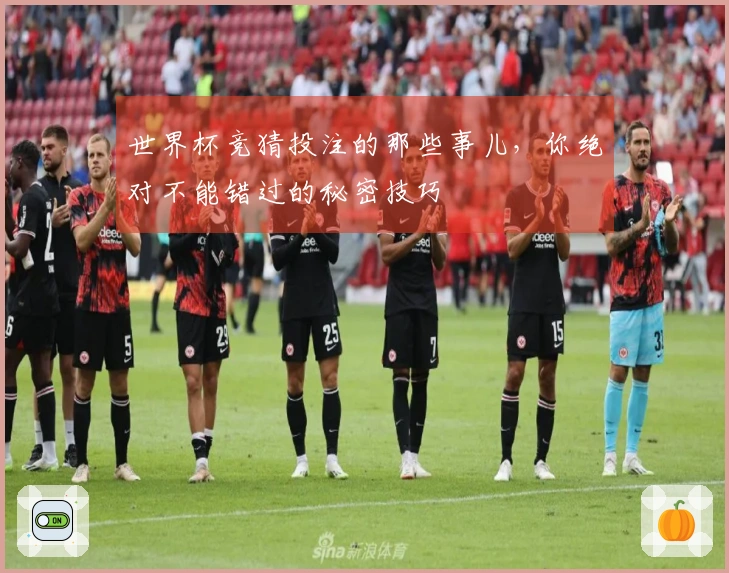 世界杯竞猜投注的那些事儿，你绝对不能错过的秘密技巧