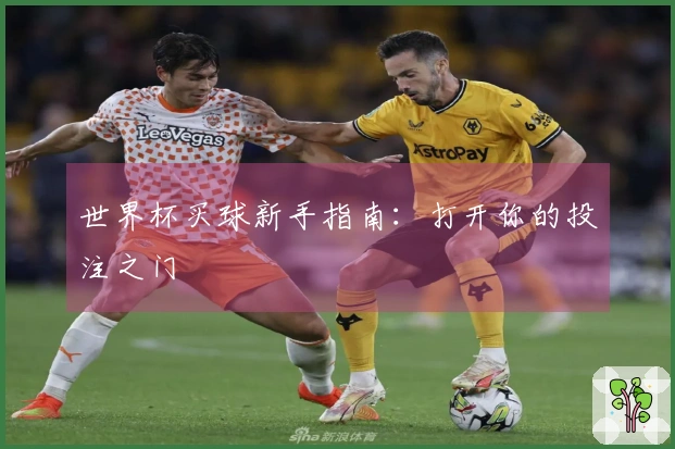 世界杯买球新手指南：打开你的投注之门