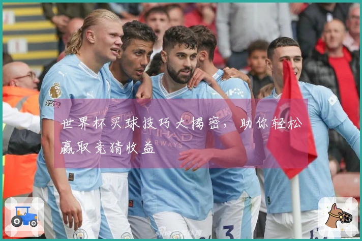 世界杯买球技巧大揭密，助你轻松赢取竞猜收益