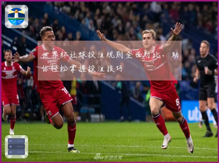 世界杯让球投注规则全面对比，助你轻松掌握投注技巧