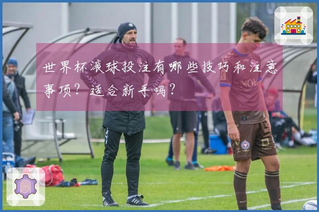 世界杯滚球投注有哪些技巧和注意事项？适合新手吗？