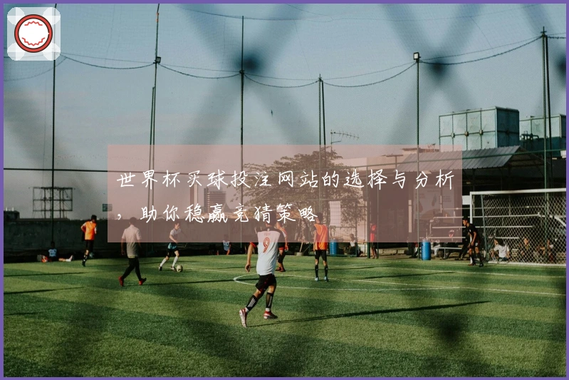 世界杯买球投注网站的选择与分析，助你稳赢竞猜策略