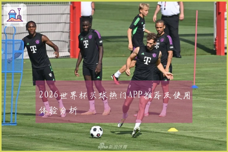 2026世界杯买球热门APP推荐及使用体验分析