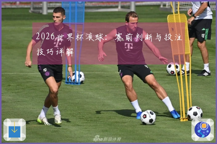 2026世界杯滚球：赛前判断与投注技巧详解